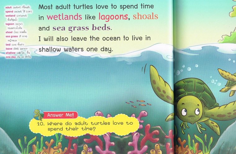 Flip the Baby Sea Turtle ฉันชื่อ ฟลิป เต่าน้อยท่องมหาสมุทร